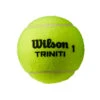 Wilson Triniti 4er Dose 2 Wilson Triniti 4er Dose -Dunlop Geschäft 0162000000 10